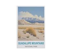 Guadalupe Mountains National Park，Puzzle 1000 Pieces Wood Puzzle Adult Children'S Educational Toy Family Decompression Game（75x50cm）-GG94