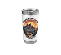 Guadalupe Mountains National Park Sunset Cactus Stainless Steel Insulated Tumbler
