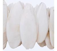 GUAKK 10PCS Large Cuttlefish Bone Chewing Toys for Birds, Parrots, Reptiles - Natural Molar & Nutrition Needs with Metal Holder for Cage for Tortoise, Snails, Budgies (11-12cm)