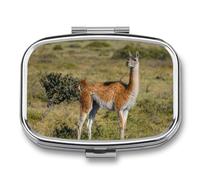 Guanacos Alpacas Travel Pill Organizer with Mirror