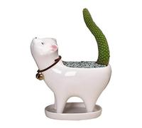 Ceramic Succulent Plant Pot, Cats Tail Succulent Cactus Pots, Cute Ceramic Animal Set, Gardening Plant Pot, for Home and Office Decoration Birthday Wedding
