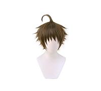 GUANBBD Dangan Ronpa 2 Danganronpa Hajime Hinata Wig Cosplay Costume Short Heat Resistant Synthetic Hair Wig Pelucas,C1207