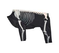 Guangcailun Large Dogs Dress Up Funny Apparel Decoration Unique Halloween Costume Making Pets Stand Out Crowd Easy To Put On And Off. Dog Skeleton Pet Clothes Are Made Of Polyester