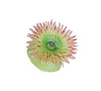 Guangcailun Realistic Animal Figurines Sea Life Action Figures Room Decor And Learning About Marine Ecosystems PRODUCT NAMEAnimal Figurines Sea Life Action Figure Simulated Anemone, green, large