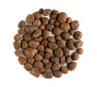 Guarana Seeds Whole Organic - Guarana Seed 200g | Whole dried guarana seeds sourced from the Amazon ready to grind into powder or brew the traditional way for an earthy cup