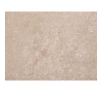 Guardian Neptune 1000 Mega PVC Bathroom Panel / Wet Wall Colour: Beige Neptune 1000 Mega PVC Bathroom Panel / Wet Wall 1m x 2.4m x 10mm
