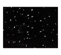 Guardian Neptune 1000 Mega PVC Bathroom Panel / Wet Wall Colour: Black Neptune 1000 Mega PVC Bathroom Panel / Wet Wall 1m x 2.4m x 10mm