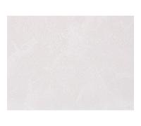 Guardian Neptune 1000 Mega PVC Bathroom Panel / Wet Wall Colour: Frost Neptune 1000 Mega PVC Bathroom Panel / Wet Wall 1m x 2.4m x 10mm