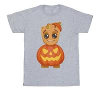 Guardians Of The Galaxy Boy's Groot Pumpkin T-Shirt in Grey | Size: 5-6 Years Guardians Of The Galaxy Grey 5-6 Years