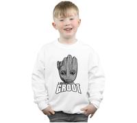 Guardians Of The Galaxy Groot Face Sweatshirt Marvel White 9 Years