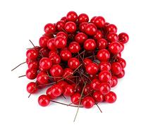 Gucagle Artificial Red Holly Berry, 100pcs 6x1cm Foam Durable Decoration, holly berries with Metal Wire for Christmas Decorations Tree Wreath Garland DIY Craft Artificial Berries