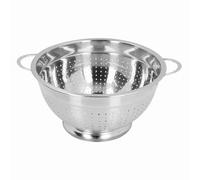 Gucagle Fruit Strainer Basket Stainless Steel Multipurpose Kitchen Colander Bowl for Washing Draining Fruits Vegetables Pasta Noodles Large Capacity Durable Stylish Design (26cm)