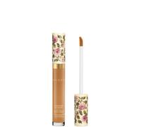 Gucci Beauty Concentré de Beauté Concealer 8ml (Various Shades) - 42W