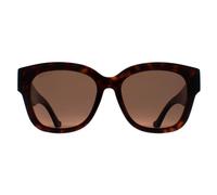 Gucci Butterfly Havana Brown Gg1550Sk Brown