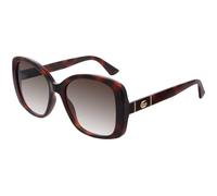 Gucci GG0762S 002 Woman Sunglasses Injected Havana Brown Squared Normal Shaded
