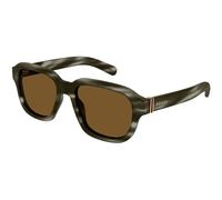 Gucci GG1508S 003 Man Sunglasses Acetate Havana Brown Squared