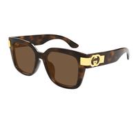 Gucci GG1690SK 002 Woman Sunglasses Injected Havana Brown Squared