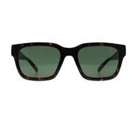 Gucci Man Gucci GG1857S 002 Sunglasses Injected Havana Green Squared