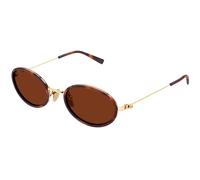 Gucci GG1980S 002 Woman Sunglasses Injected Havana Brown Round