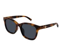 Gucci GG1984SK 002 Woman Sunglasses Injected Havana Blue Round