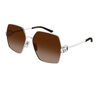 Gucci GG2163S 003 Woman Sunglasses Metal Silver Brown Squared
