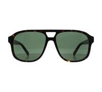 Gucci Men's Aviator Dark Havana Green GG1856S in Brown Gucci Brown One Size