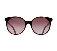 Gucci Round Dark Havana Brown Gradient Gg0488S Brown