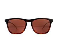Gucci Sunglasses GG0843S 002 Havana Brown