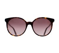 Gucci Women's Round Dark Havana Brown Gradient GG0488S Gucci Brown One Size