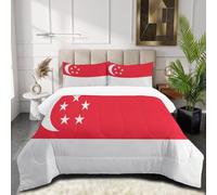 GUCSMN Singapore Flag Double Size Coverless Duvet Set 3 Pieces