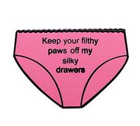 GuDeKe Keep Your Filthy Paws Off My Silky Drawers Enamel Pins, Copper