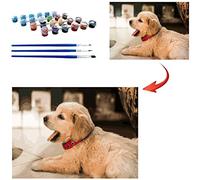 Gudina Personalised Paint by Numbers for Adults, Photo Custom Paint by Numbers Kits for Children Professional Portrait Pet Family Photos Customized Make Your Own DIY Gifts, 24 Colors 40x60cm No Frame