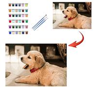 Gudina Personalised Paint by Numbers for Adults, Photo Custom Paint by Numbers Kits for Children Professional Portrait Pet Family Photos Customized Make Your Own DIY Gifts, 36 Colors 30x40cm No Frame