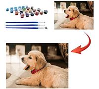 Gudina Personalised Paint by Numbers for Adults, Photo Custom Paint by Numbers Kits for Children Professional Portrait Pet Family Photos Customized Make Your Own DIY Gifts, 24 Colors 40x40cm No Frame