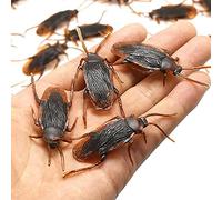GUDVES Prank Fake Roaches Model Simulation Rubber Cockroach Roach Bug Toy Funny Trick Joke Toys Plastic Bugs (10PCS)