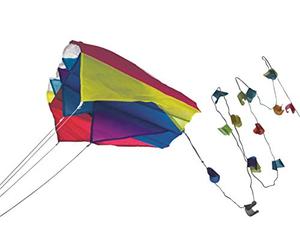 Guenther 1189 60 x 51 cm Mini Para Foil Classic Single Line Kite with Sail