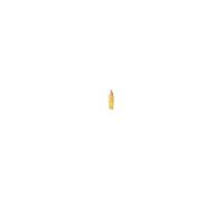 Guerlain - Abeille Royale Youth Watery Serum (50ml)