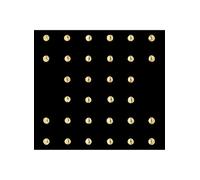 Guerlain Rouge G Lipstick Case 1 Unit The Studs