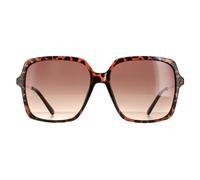 Guess GF6131 Womens Dark Havana Sunglasses