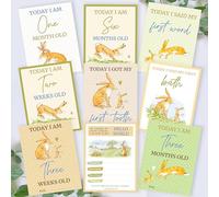 Guess How Much I Love You 1st Year Milestone Cards • New Baby Gift Milestone Cards • Neutral Unisex Milestone Cards • Guess How Much I Love You Baby Memory Cards