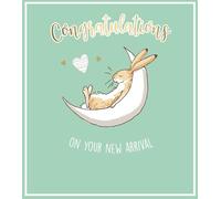 Guess How Much I Love you NEW BABY CARD