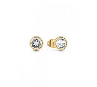 Guess Ladies Gold Plated 8mm Clear Solitaire Stud Earrings - Steel / Gold Plated
