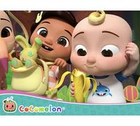 Guess the Animal Song