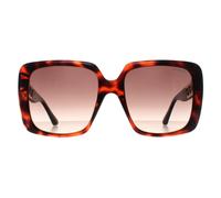 Guess Women's Square Dark Havana Brown Gradient GU7689 in Black Guess Black One Size