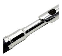 Gugxiom C Key Piccolo Great Sound Stylish Design Padded Box Adjustable Strap Cleaning Stick Durable Construction Convenient for Storage (Gugxiomtz7-S)