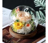Gugxiom Glass Rose,Preserved Roses Lamp with LED,Light up Preserved Flower for Birthday,Valentine's Day,Christmas（Love of Champagne）
