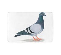 GUHAOT Pigeon Print Soft Door Mat Non Slip Bathroom Rug Memory Foam,Absorbent Indoor Floor Mat