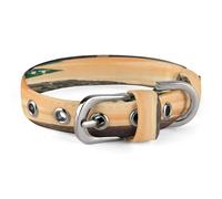Guidance on The Road Pet Collar, Adjustable Dog Collars with Buckle Stainless Steel D-Ring, Comfortable Collar for Small Medium Dogs and Cats