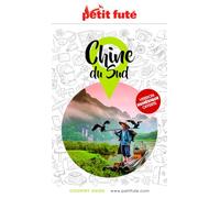 Guide Chine Du Sud 2025/2026 Petit Futé (2025-2026)