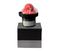 Guide De Peinture Pour Carrosserie Automobile - Révélateur De Défauts Pour Ponçage Sec | Accessoire Métallique Pour Identifier Les Rayures Lors De L'Entretien Auto Et Du Bricolage Préparation Finit